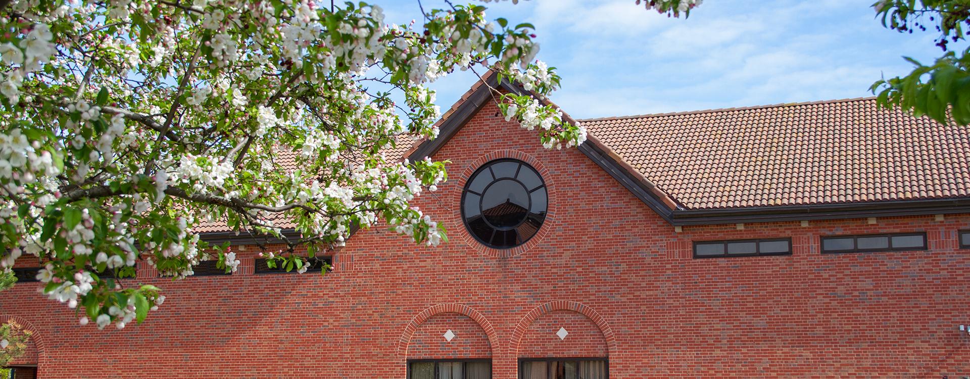 Library in spring